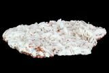 Pink Bladed Barite Dusted With Small Vanadinite Crystals #100712-1